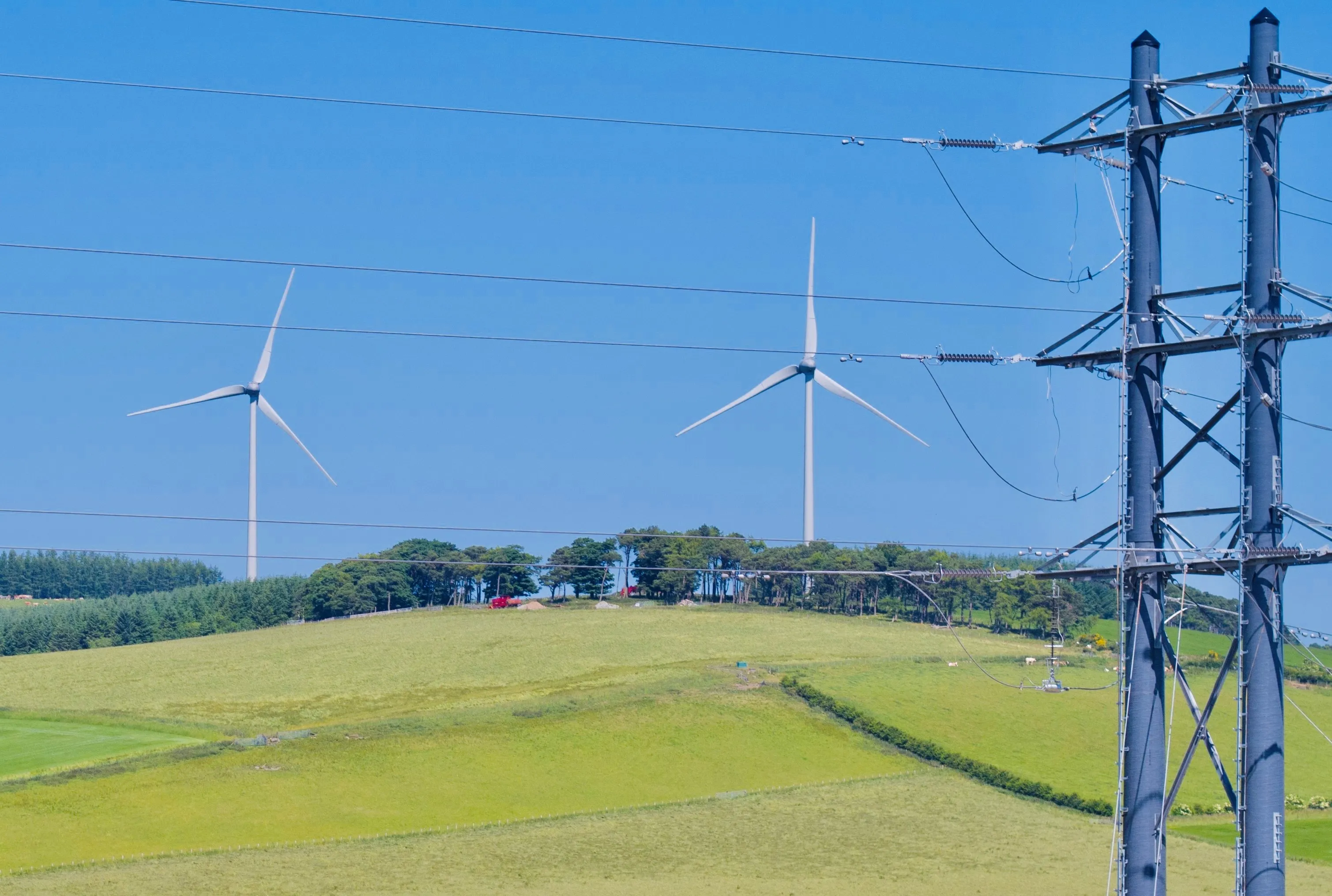 Field with wind turbines 