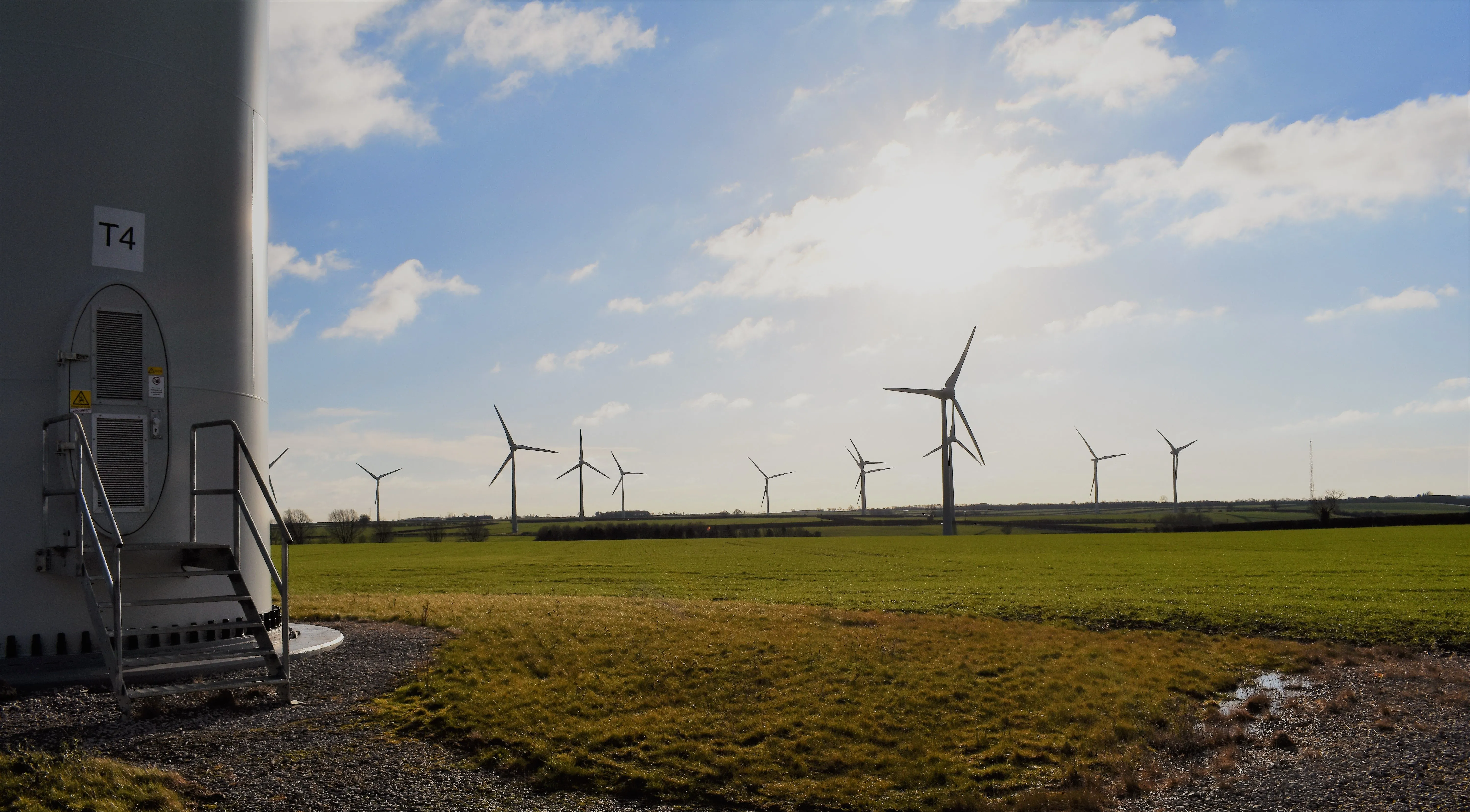 Wind turbines in a field