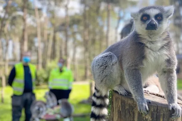 Electrical Maintenance at Yorkshire Wildlife Park