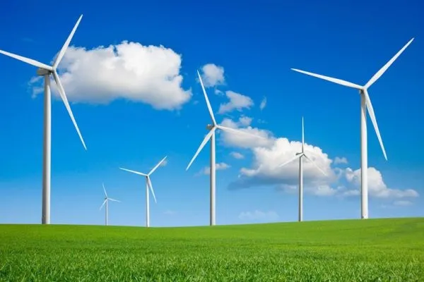 Renewable Energy Sector.